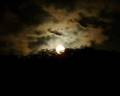 Dnight